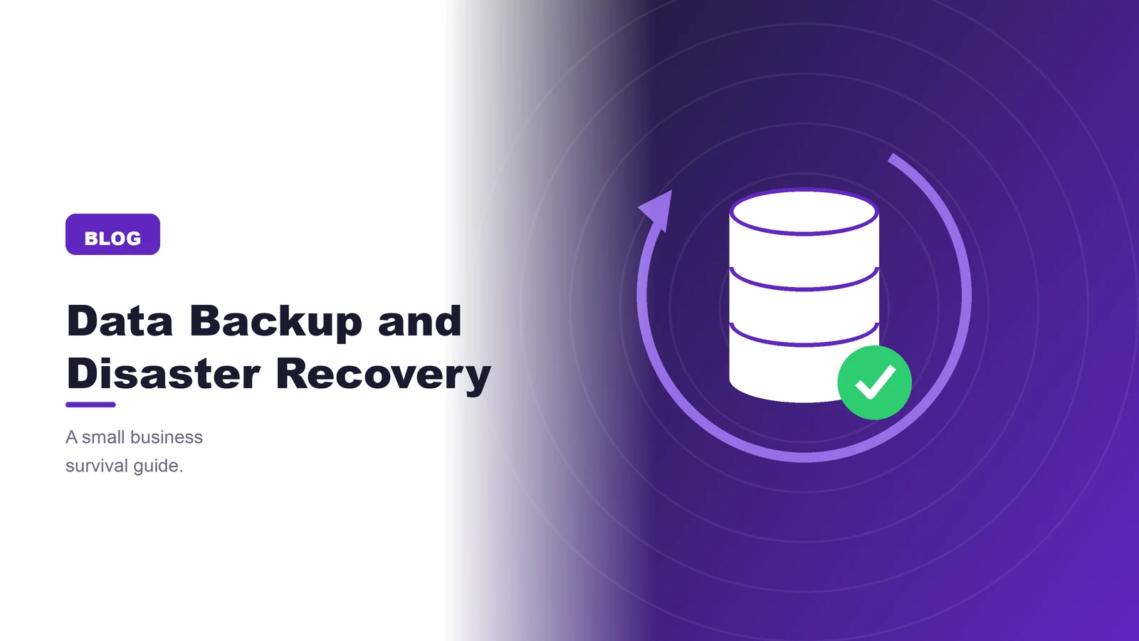 Data Backup and Disaster Recovery: A Small Business Survival Guide